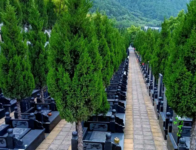 武汉墓地哪家好